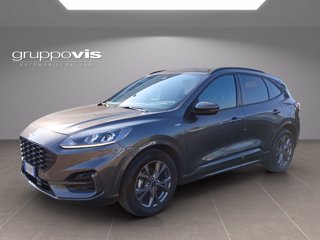 FORD Kuga full hybrid ST-Line 2wd Automatica